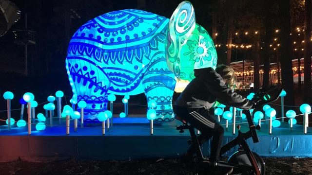 Take the Kids: 8 things for kids to see and do at the Chinese Lantern Festival in Cary
