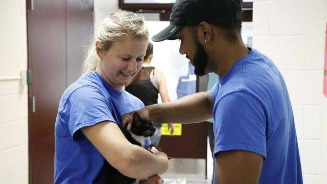 Covid-driven staff shortages force Cumberland County animal shelter to close