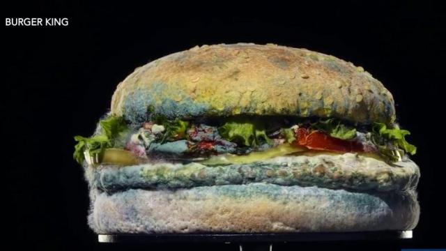Burger King hopes moldy Whopper wins fans for preservative-free beef