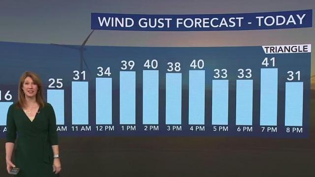 Blustery, chilly Friday could bring 40mph wind gusts