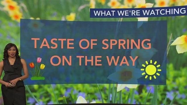 Taste of spring, 70 degree temps on the way