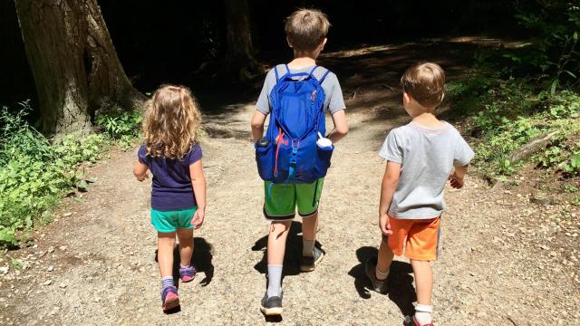 4 ideas for outdoor learning fun from an expert - a dad and education chief for NC State Parks 