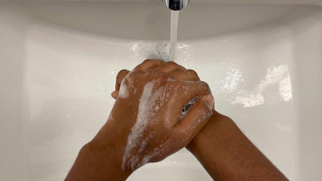 Why soap, sanitizer and warm water work against Covid-19 and other viruses