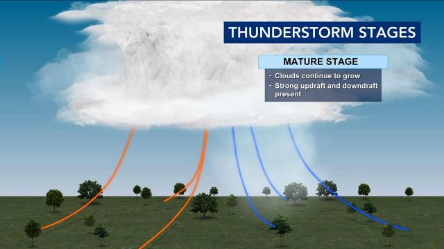 WRAL Weather lesson: How a thunderstorm forms