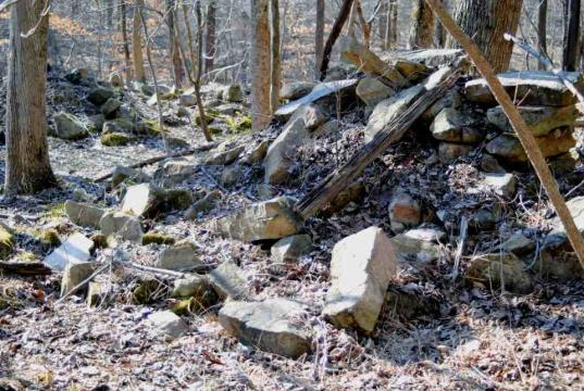 Remains of a homestead at Umstead Park
