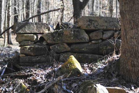 Remains of old structure at Umstead Park