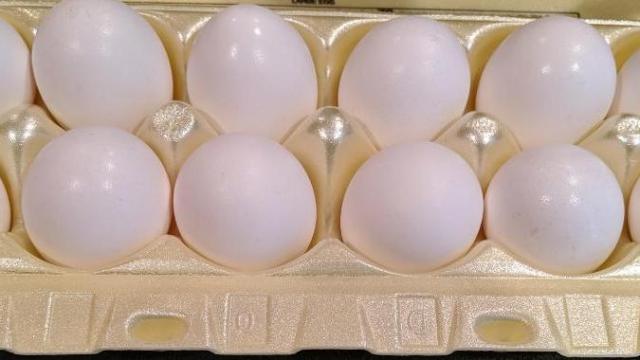 Egg prices soar as farmers battle inflation, avian flu 