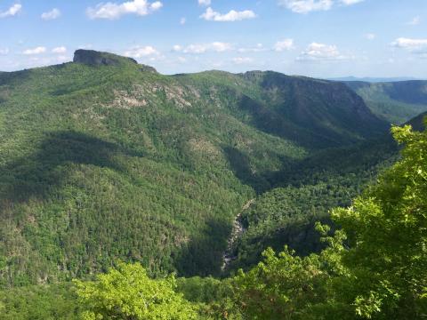 Followed by the greening of Linville Gorge in early May.