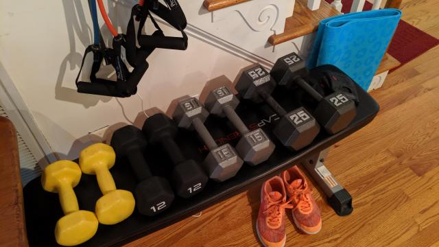 Faye's exercise equipment