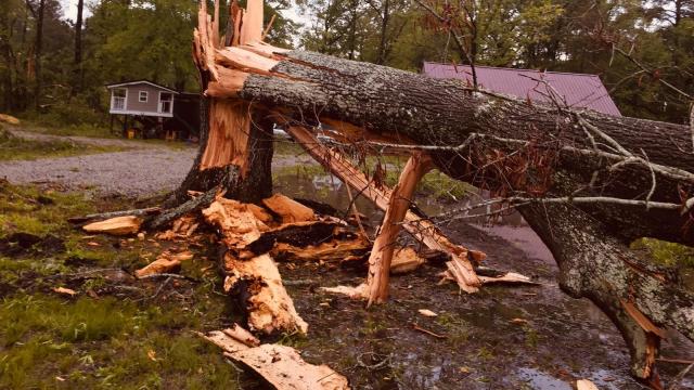 PHOTOS: Trees down, power out amid severe storms