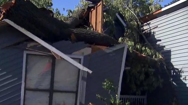 Trees slam into homes in Cumberland, Moore counties
