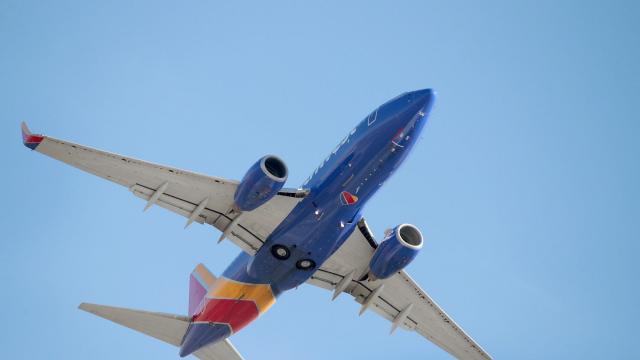 California Woman Pleads Guilty to Punching Flight Attendant in the Face