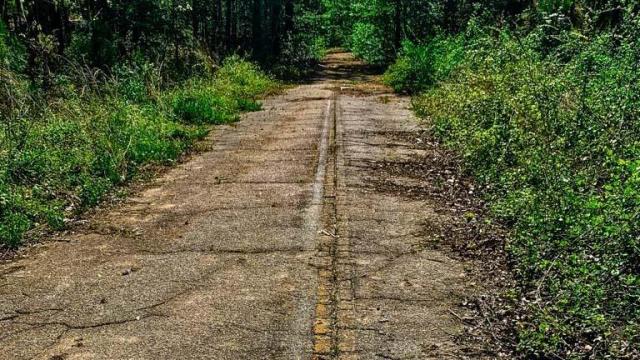 Hidden History: Exploring the abandoned Highway 98 beneath Falls Lake