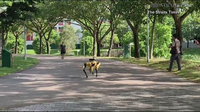 Singapore uses robot to enforce social distancing in public parks 