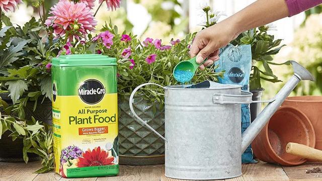 Miracle-Gro Water Soluble All Purpose Plant Food 5 lbs only $9.98 (63% off) 