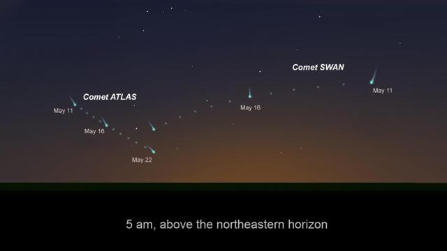 Comets ATLAS and SWAN have been brightening again (image: Rice, data: Minor Planet Center)