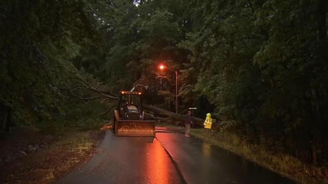 Trees fall in Chapel Hill, Durham, and Apex during thunderstorms