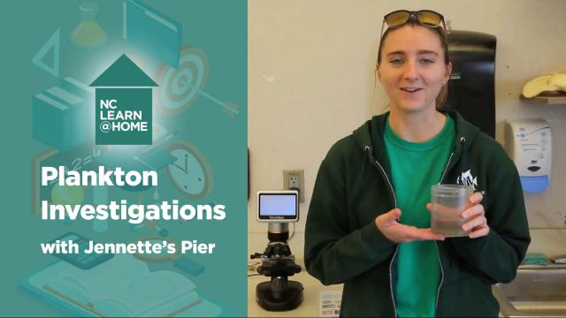 Plankton Investigations