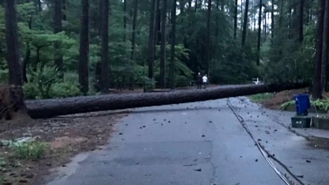 Tree down across road in Moore County