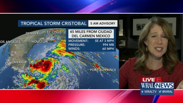 Some models predict Tropical Storm Cristobal to make landfall near New Orleans