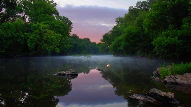 Take the Kids: Explore these six nature preserves across the Triangle