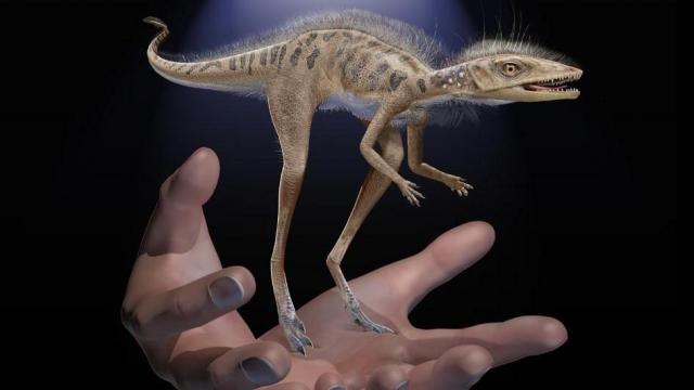 Meet an ancestor of dinorsaurs that could fit into the palm of a hand