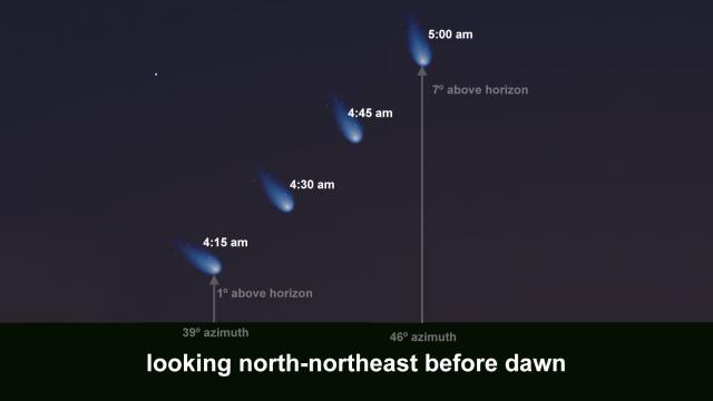 Comet NEOWISE position the week of July 5 (Stellarium/Rice)