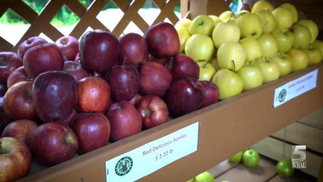 Perkins Orchard celebrates 50 years in business