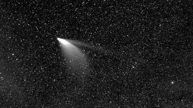 Comet NEOWISE as seen from NASA's Parker Solar Probe