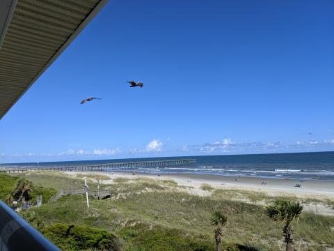 Ocean Isle Beach and pelican view from the porch in the Ocean Isle Inn hotel room, top floor