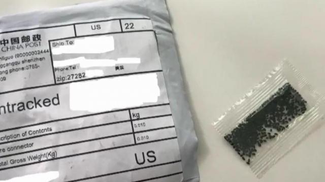 Area residents receiving mysterious seeds in mail