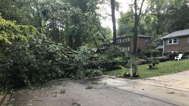 The tree fell across the street and took down the power lines and a power pole. People in the area were without power. Photo from WRAL Viewer Daniel Vincent. 
