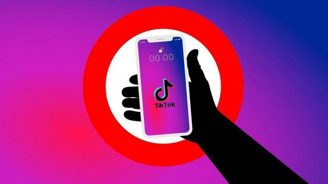 Banning TikTok in US is good idea, half of Americans say in new survey