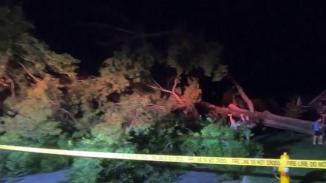 Tree pulls down power lines near NC State campus