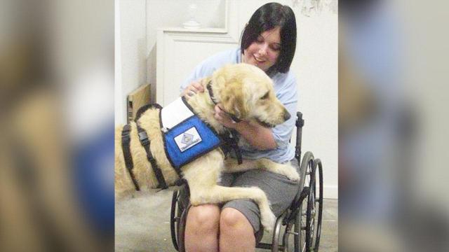 For the staff and volunteers at Wilmington-based Canines for Service, it's the best of both worlds. Credit: Canines for Service