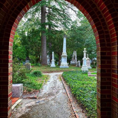 Calvary Episcopal Church in Tarboro has North Carolina's version of a ‘secret garden,’ enclosed in a gothic-style churchyard, cloaked in ivy, with century-old trees from across the globe. 