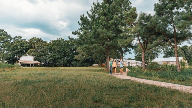 Want to go for a stroll? Check out the Triangle's newest nature preserve with trails, working farms