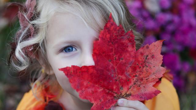 Take A Child Outside Week reminds parents about the benefits of nature exploration