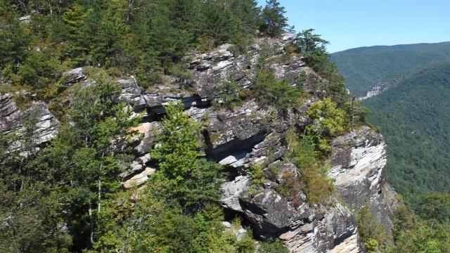Linville Gorge Walls -- covered with lichen, moss, laurel. (Photo by Tom Earnhardt)