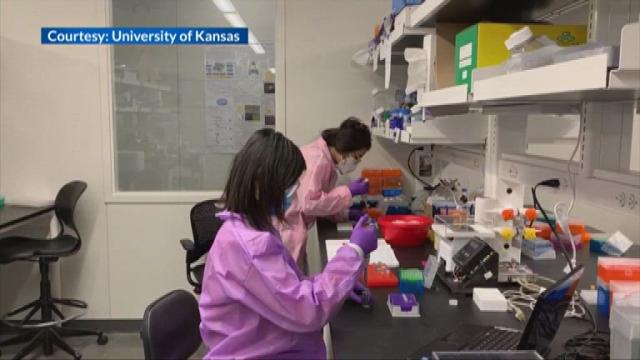 Kansas researchers work to develop at-home rapid COVID test