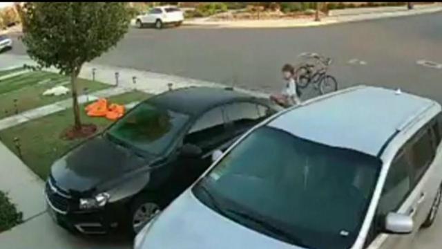 Child's good deed to return purse caught on security camera