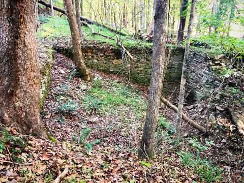 Remains of Cabe's mill. 