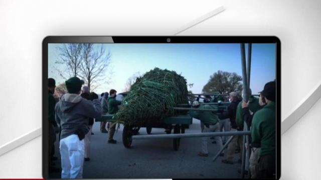 Biltmore Christmas tradition goes virtual 