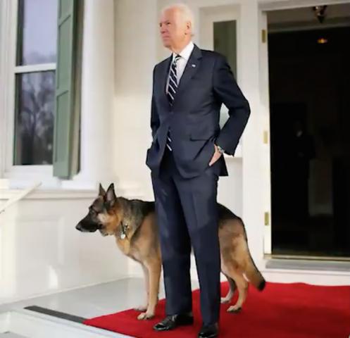 Joe Biden shared this image on his Twitter, saying it was time to bring dogs back to the White House.