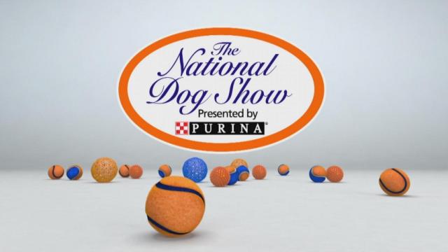 Sneak peek: National Dog Show tradition will continue