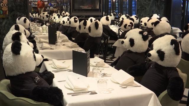 Pandas fill restaurants where patrons are forbidden