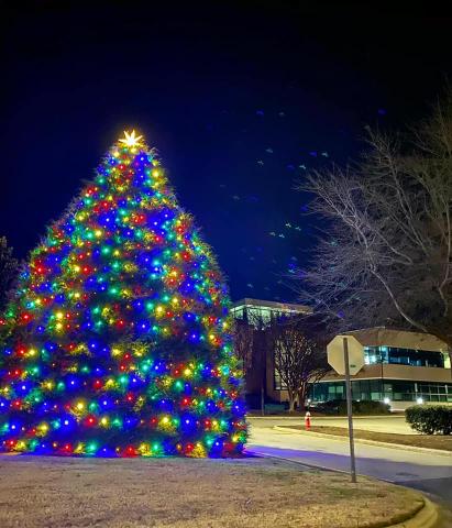 Downtown Cary has become a hot spot for its walkable wonderland of holiday lights and community art displays