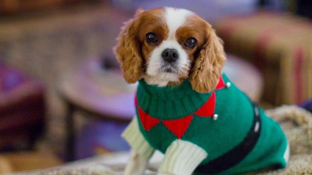 The origins of the 'ugly Christmas sweater' 