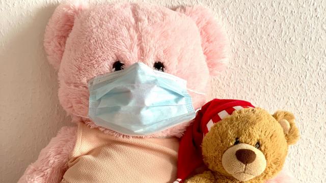 Kidzu starts Teddy Bear Clinics
