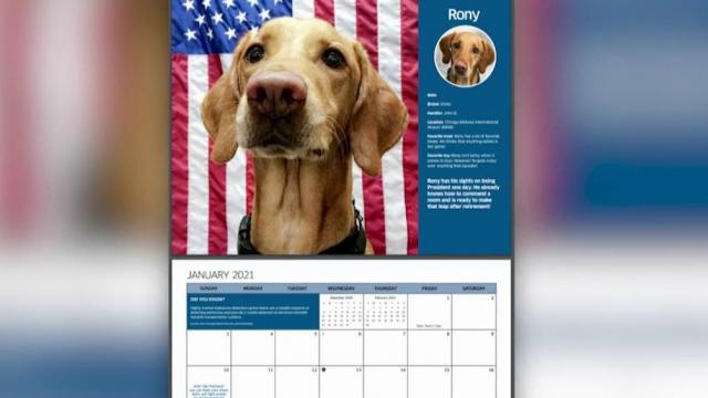 TSA shares 2021 dog calendar 